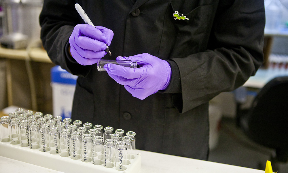 CBD Oil in Korea